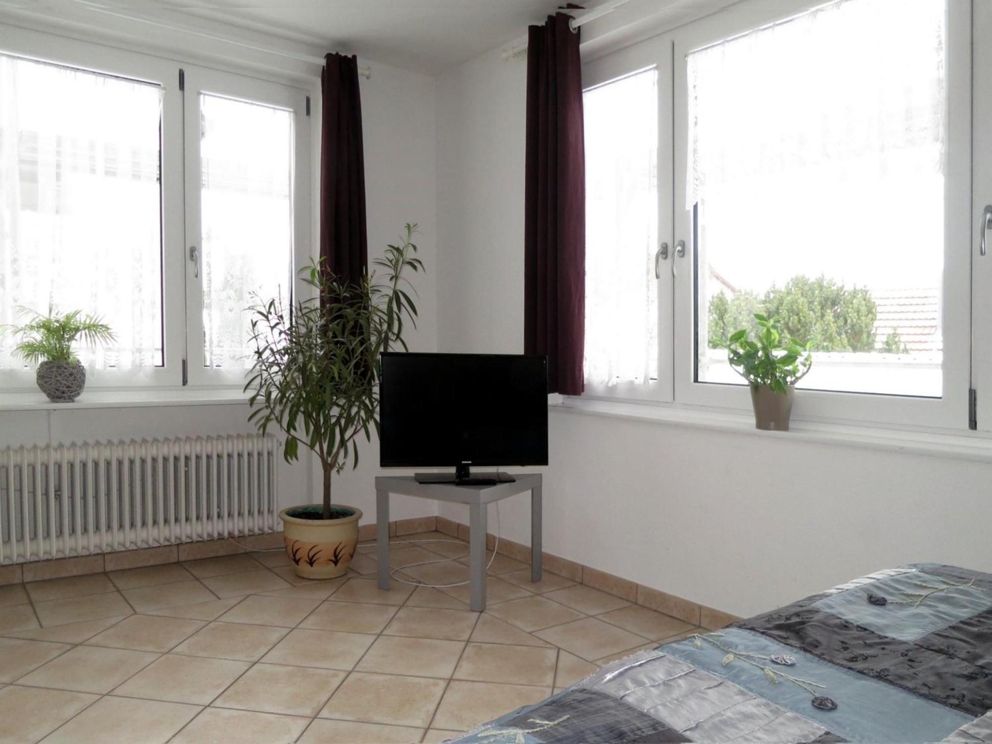 Atelier Probst- Hornwiesenstrasse 4 Konstanz Eksteriør billede